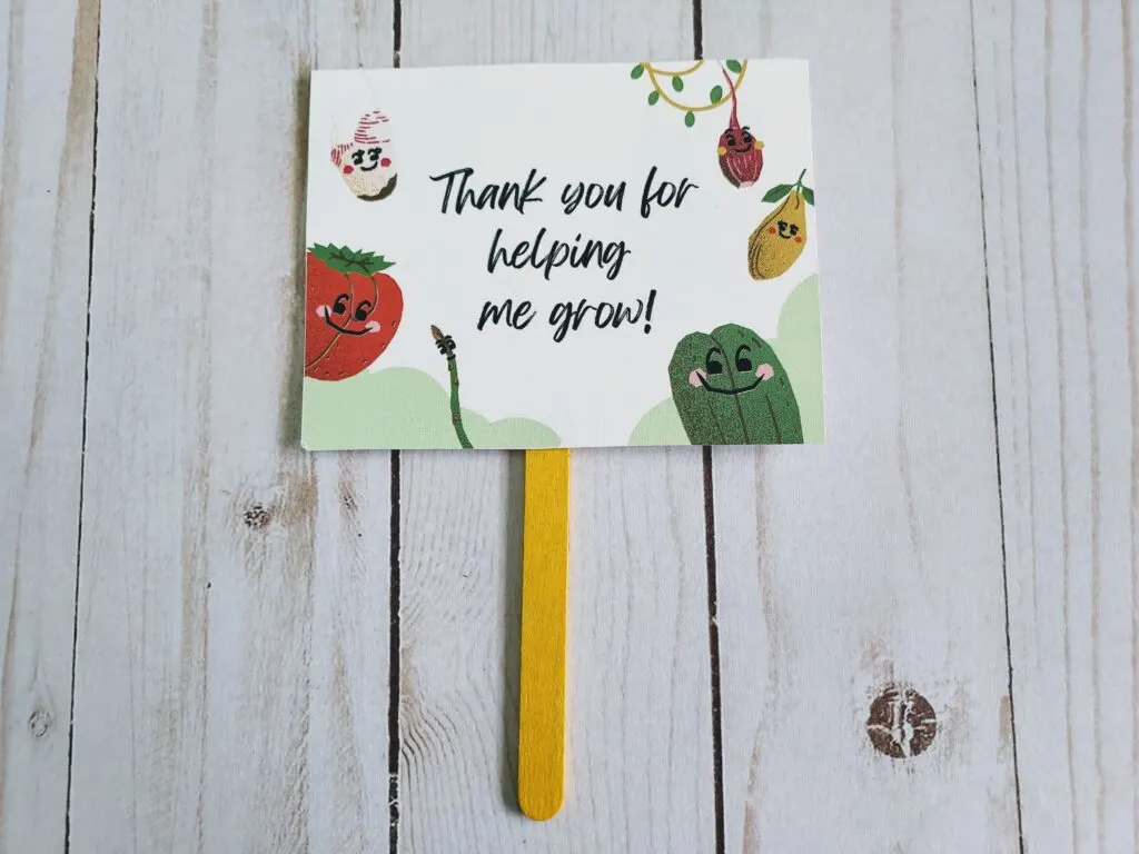 Plant themed gift tag printed on cardstock, cut out and glued to a popsicle stick. Gift tag says Thank you for helping me grow!