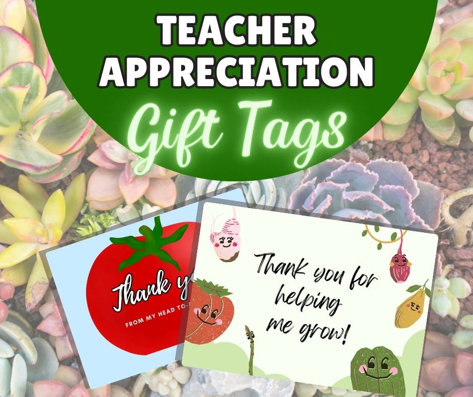 Text at top of image says Teacher Appreciation Gift Tags and shows preview image of two different gift tag designs. Text and printable previews are overlaid on a background with lots of succulents.