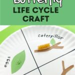 White and black text on green background at top says Butterfly Life Cycle Craft. Under text is a close view of a paper plate with construction paper and pasta glued to it. Sections are labeled for each stage of the cycle.