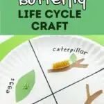 White and black text on green background at top says Butterfly Life Cycle Craft. Under text is a close view of a paper plate with construction paper and pasta glued to it. Sections are labeled for each stage of the cycle.