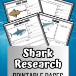 Preview images of four different shark worksheets for researching information on an ocean background.