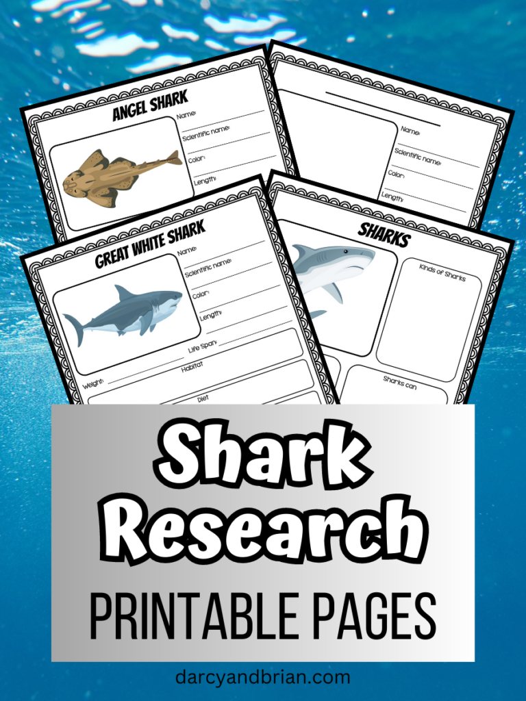 Preview images of four different shark worksheets for researching information on an ocean background.