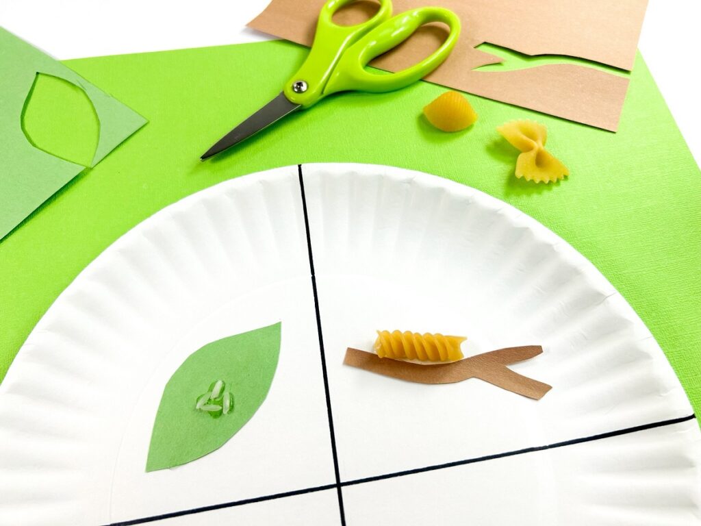 Overhead view of top half of white paper plate marked with four equal sections. Top two section have paper and rice or pasta glued to them to represent different stages of a butterfly's life. Other paper, scissors, and pieces of pasta are laying nearby.