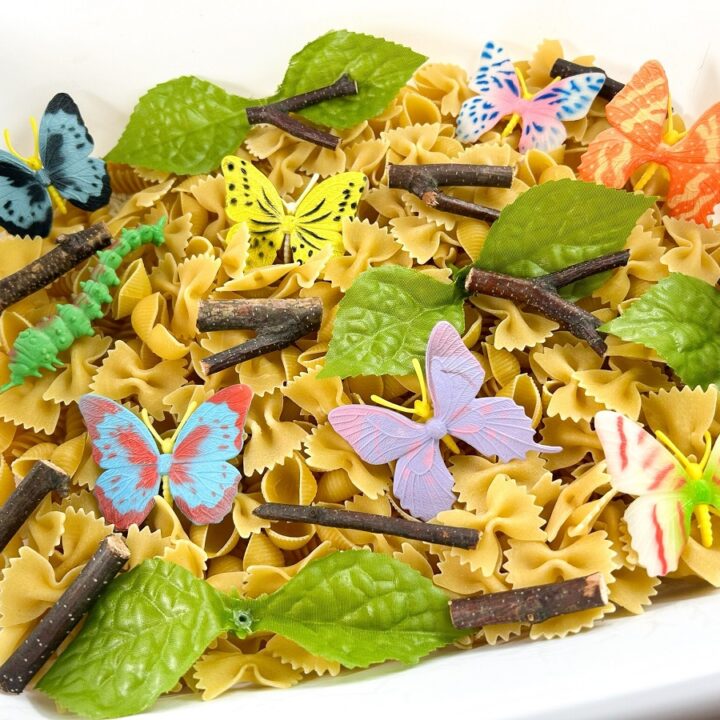 Sensory bin filled with butterfly life cycle items such as different pasta shapes, toy butterflies, sticks, and leaves.
