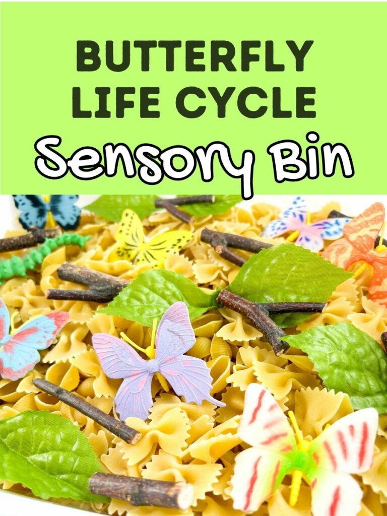 Black and white text on bright light green background says butterfly life cycle sensory bin. Underneath that is a close up view of toy butterflies and fake leaves and sticks mixed in with dry pasta and rice.