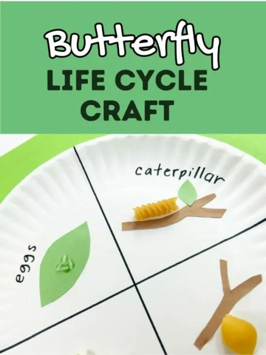 White and black text on green background at top says Butterfly Life Cycle Craft. Under text is a close view of a paper plate with construction paper and pasta glued to it. Sections are labeled for each stage of the cycle.