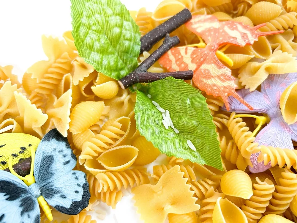 Close up of items in sensory bin which include grains of white rice on a faux leaf, small craft twigs, plastic butterfly toys, and different pasta shapes.