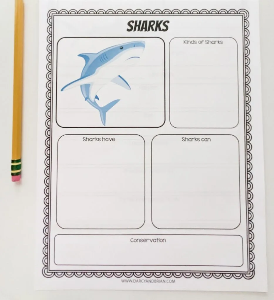 Blank worksheet for researching sharks laying on white desktop next to a pencil.