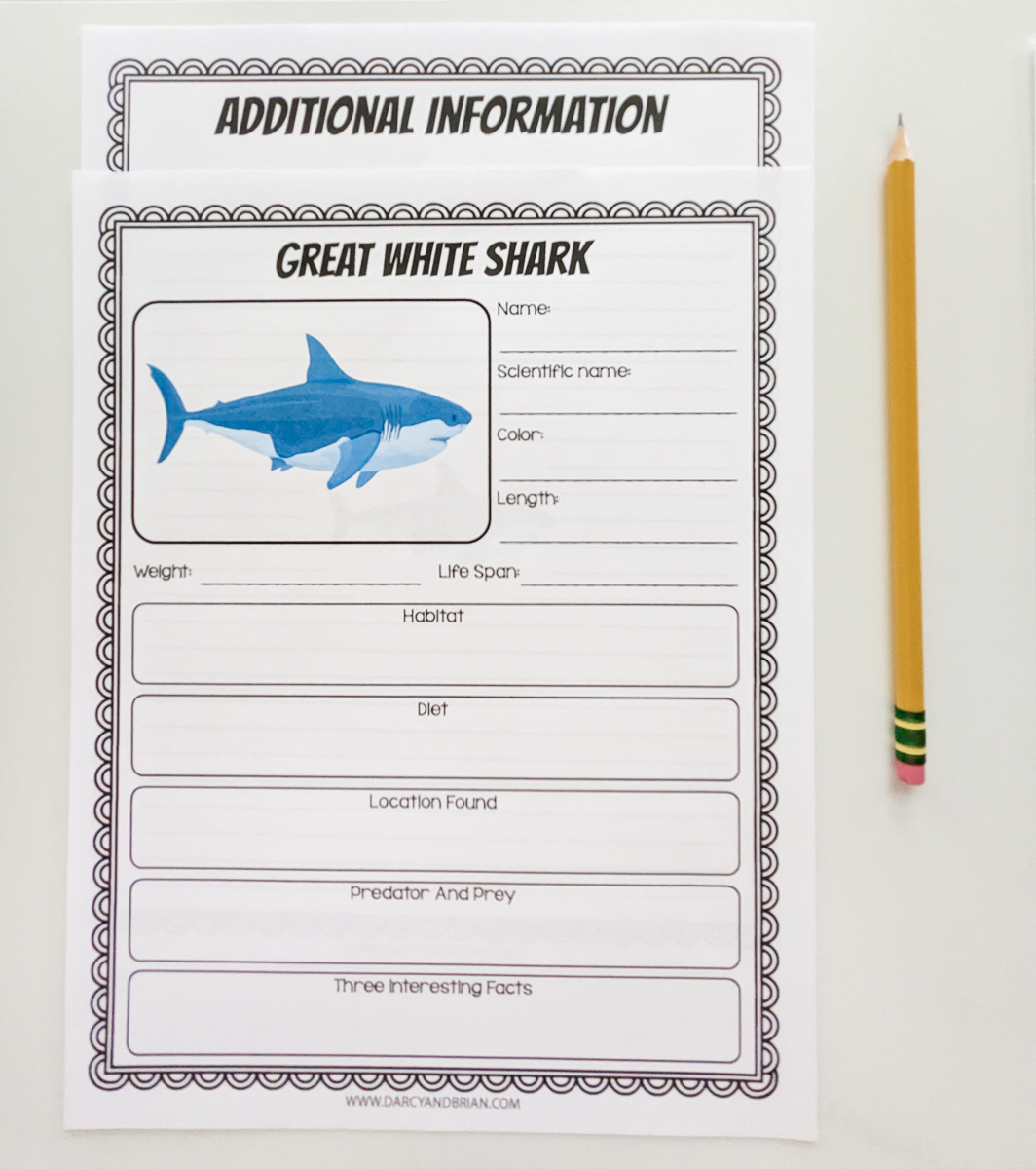 Worksheet to fill out about Great White Sharks and an additional page are printed out and laying  overlapping on a white desk next to a sharpened pencil.