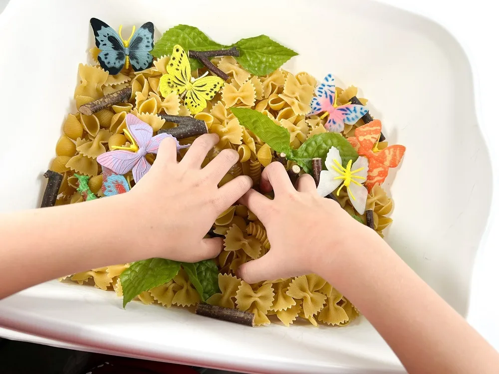 Caucasian child's hands reaching into butterfly sensory bin with items that represent different stages of the life cycle.