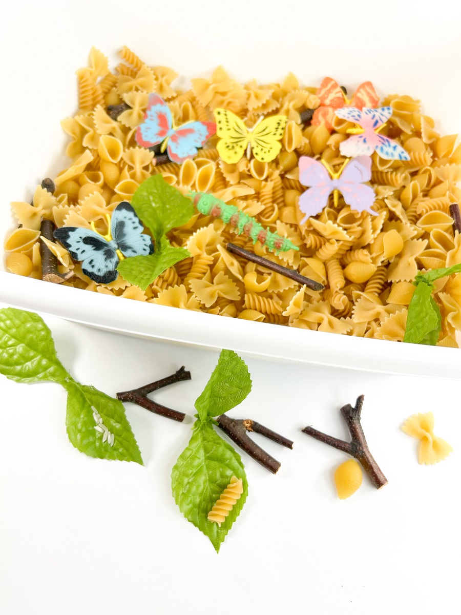 Butterfly themed sensory bin filled with items. Outside of the bin some of the items have been arranged to show the different life cycle stages of a butterfly.