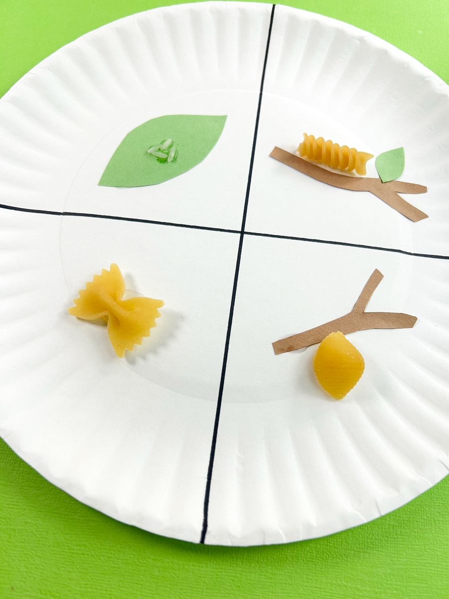 Close view of paper plate that now different types of pasta glued to bottom sections.