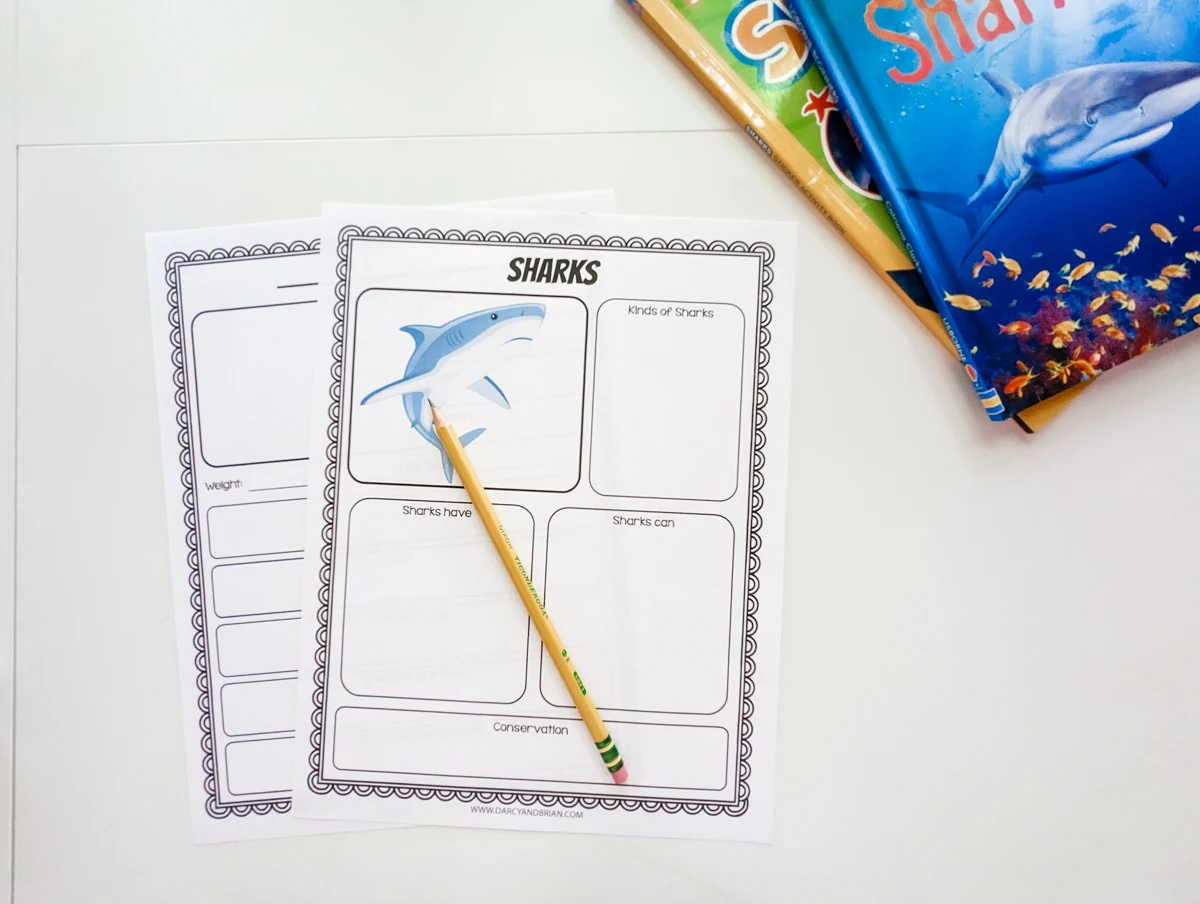Two printed out worksheets about sharks laying on white desk with a pencil on top. A couple shark books are partially visible in the upper right corner.