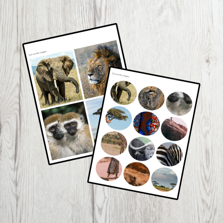Free Printable Real Picture Matching Game