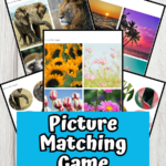 Preview images of five different printable pages overlapping each other. Near the bottom is a blue box with white text that says Picture Matching Game.