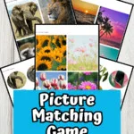 Preview images of five different printable pages overlapping each other. Near the bottom is a blue box with white text that says Picture Matching Game.
