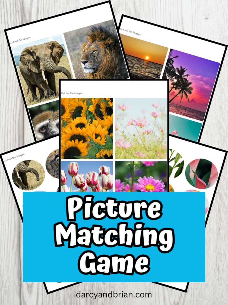 Preview images of five different printable pages overlapping each other. Near the bottom is a blue box with white text that says Picture Matching Game.