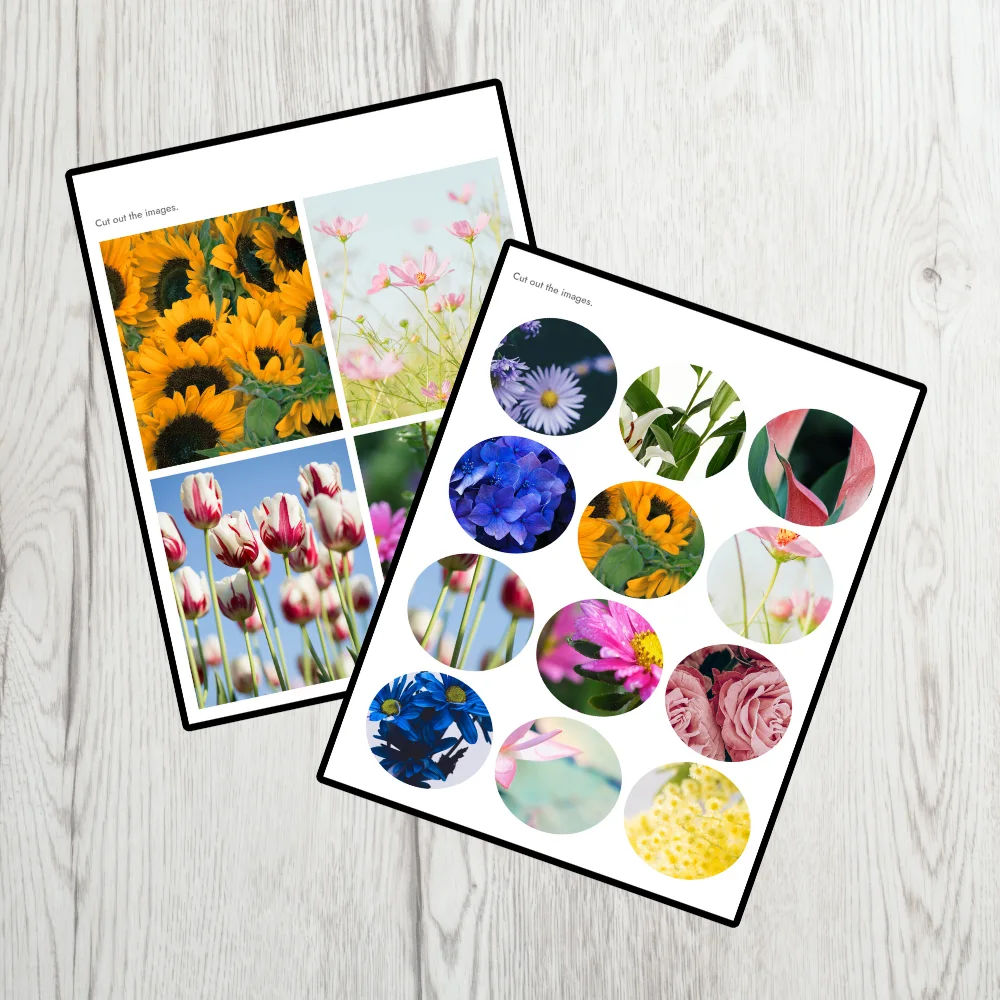 Digital preview of two different pages from the flower category of the picture matching game.