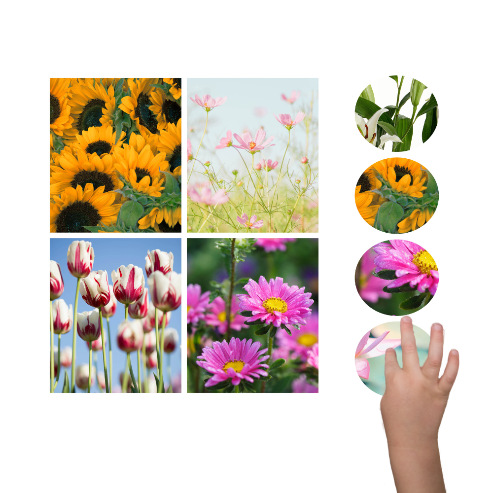 Mockup image showing the square game cards with pictures of flowers next to the small circle pieces with only part of the flower picture. A small child's hand is pointing at one of the circles to match it.