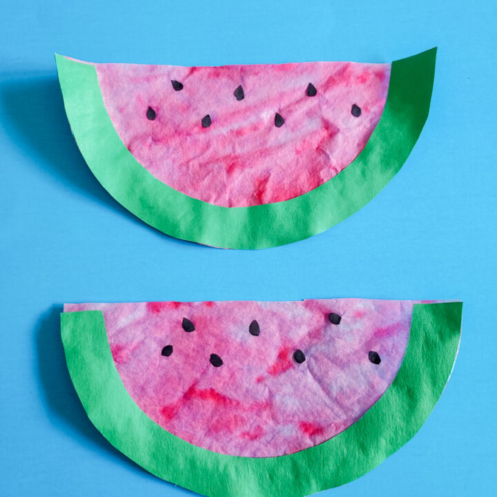 Coffee Filter Watermelon