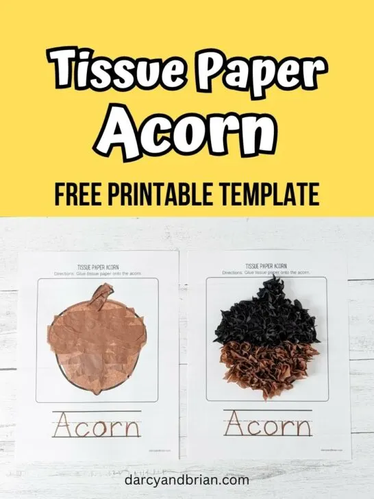 Two different acorn crafts made with tissue paper. Above photo is text on a yellow rectangle that says Tissue Paper Acorn Free Printable Template.