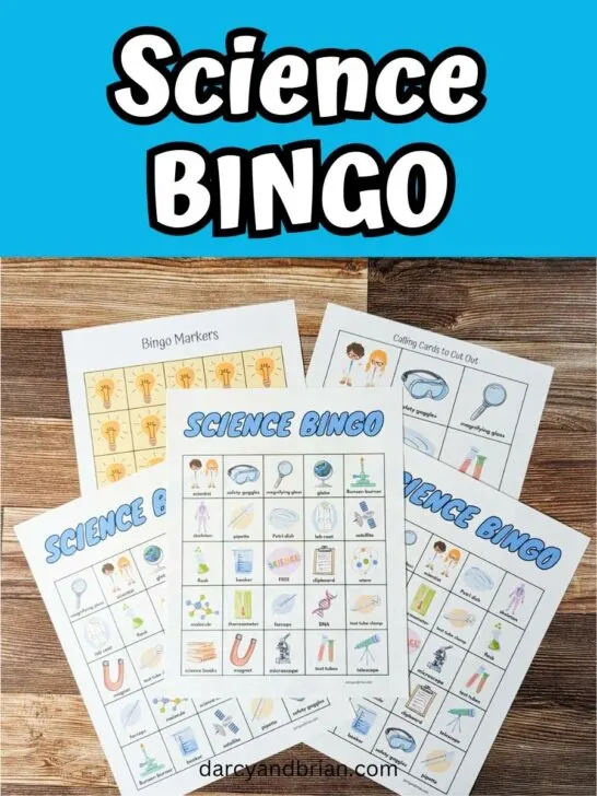 Three of the bingo cards are printed and fanned out on the table over calling cards and game tokens. Above photo is white text on blue background that says Science Bingo.