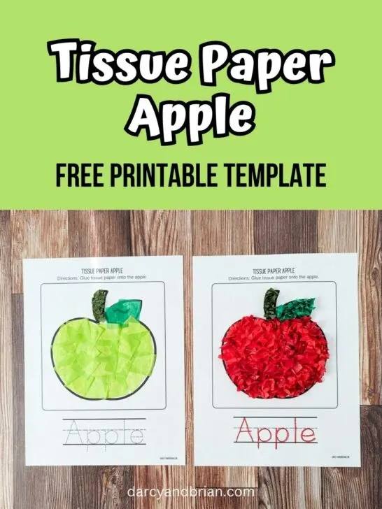 White and black text on light green background that covers the upper section of the image says Tissue Paper Apple Free Printable Template. Below is a photo of two complete craft projects. The left apple is green and the right apple is red.
