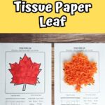 Two leaf crafts made using tissue paper on a printable template laying side by side. Above the photo is text on a yellow background that says Free Printable Template Tissue Paper Leaf.