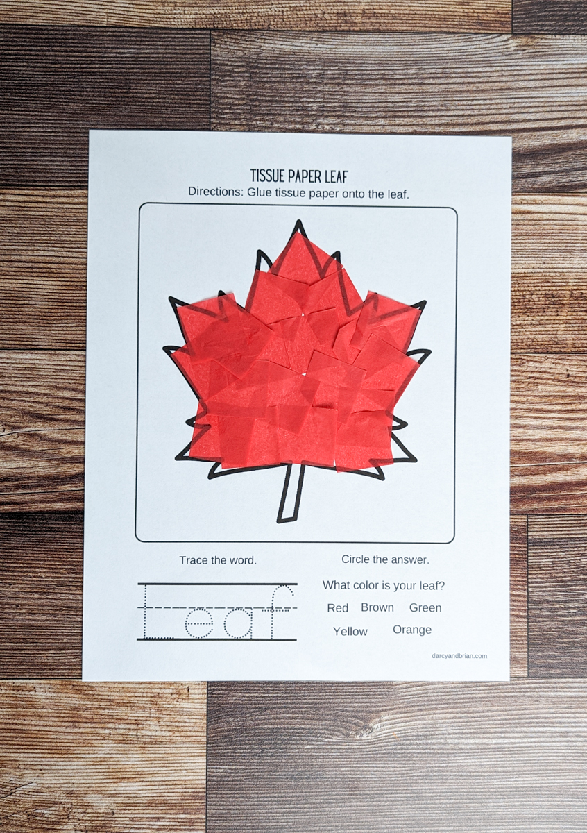 Tissue Paper Leaf Craft Fun Preschool Fall Activity