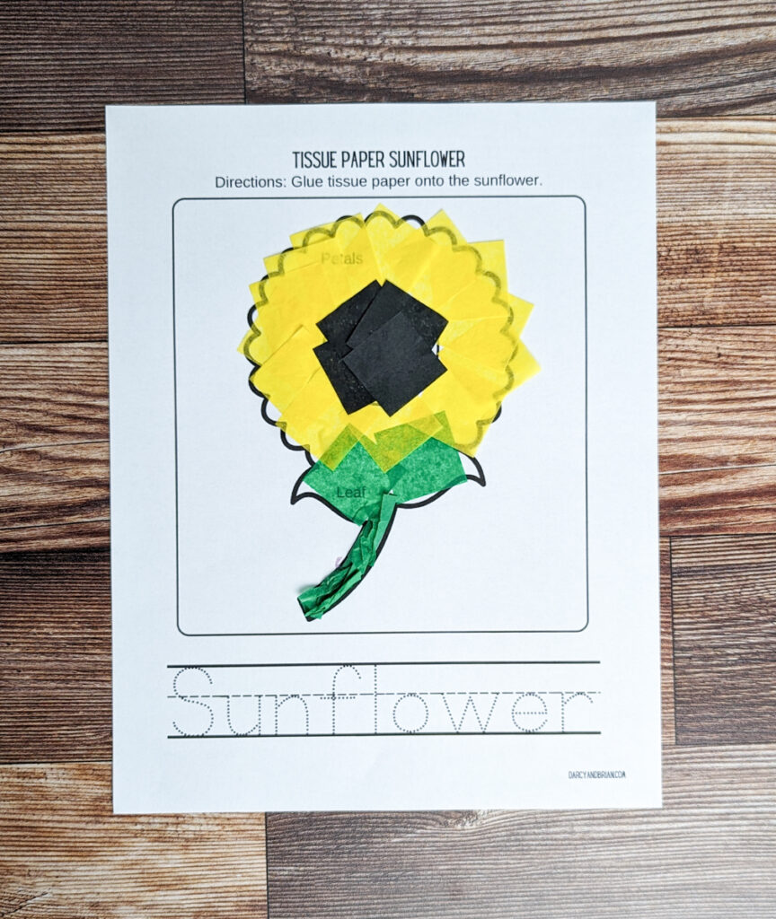 Yellow, black, and green tissue paper squares are glued flat down onto the sunflower template.