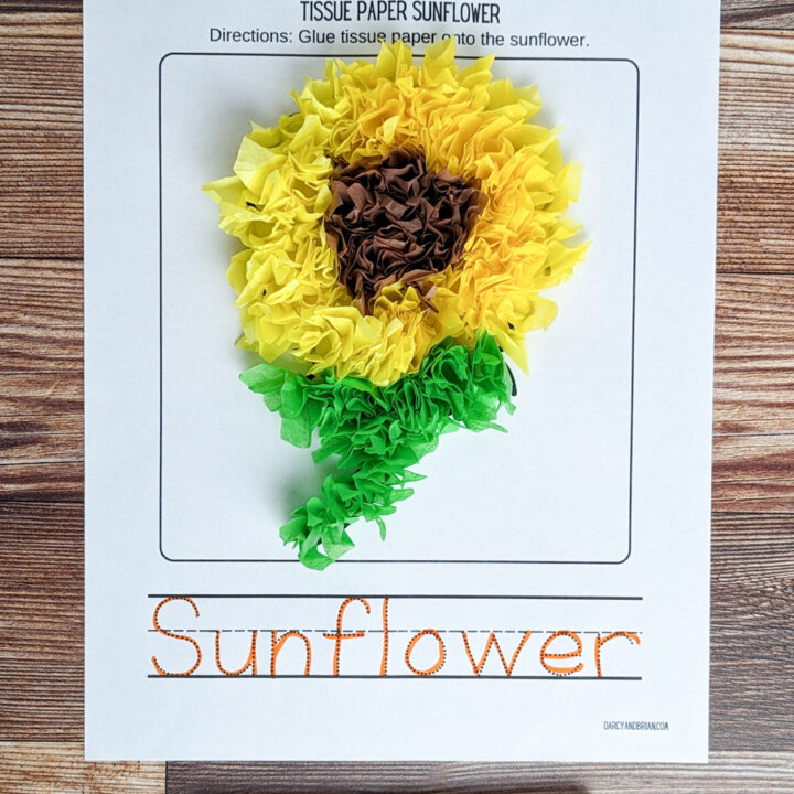 Tissue Paper Sunflower Craft