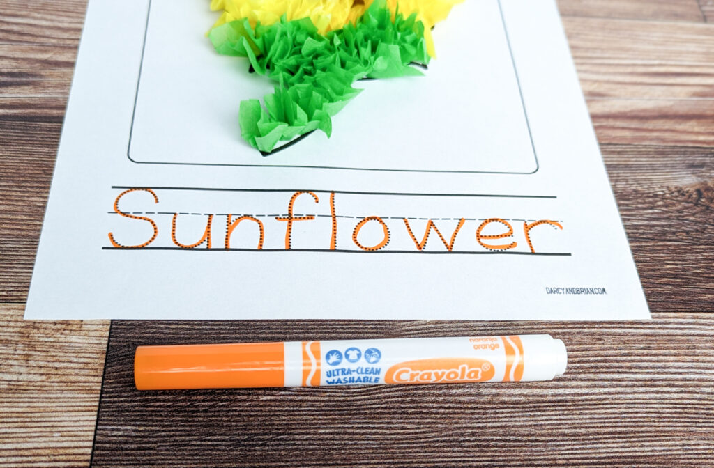 Close view of the word sunflower traced with an orange marker at the bottom of the craft template. The marker is laying below the paper.