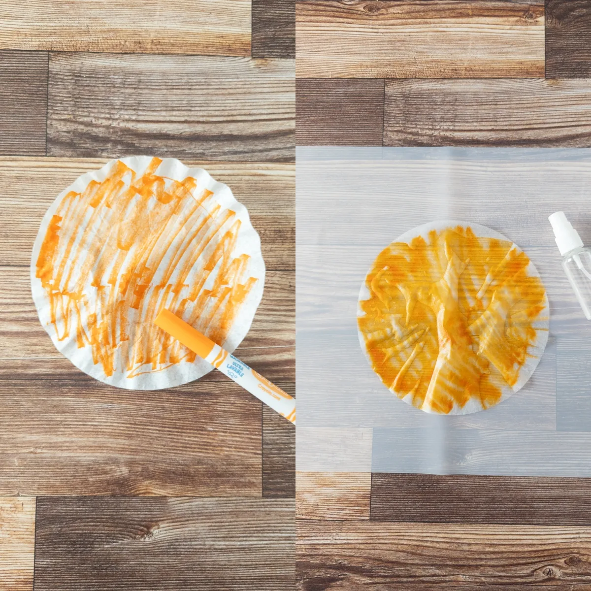 Side by side images of a coffee filter colored with an orange marker and how it looks when it is wet.