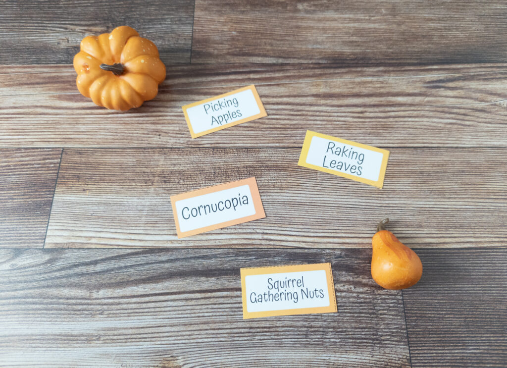 Close view of four fall pictionary cards cut out that say picking apples, raking leaves, cornucopia, and squirrel gathering nuts. A small decorative pumpkin and gourd lay near the cards.