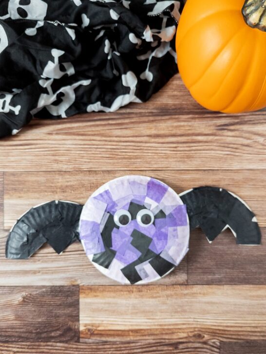 Top down view of finished bat craft made with tissue paper and paper plates. The craft is laying near an orange pumpkin decoration and a black cloth with white skulls on it.