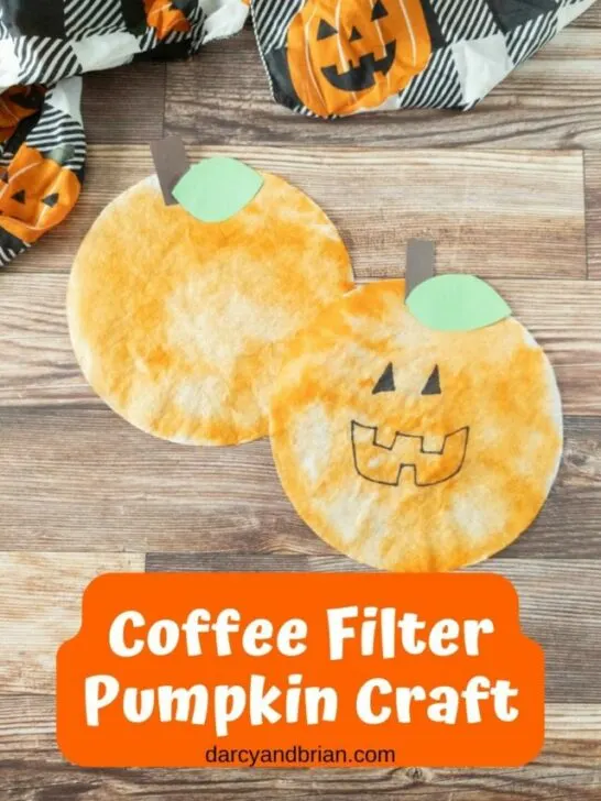 Top down view of two completed coffee filter pumpkin crafts. One has a face drawn on with black marker and one does not.