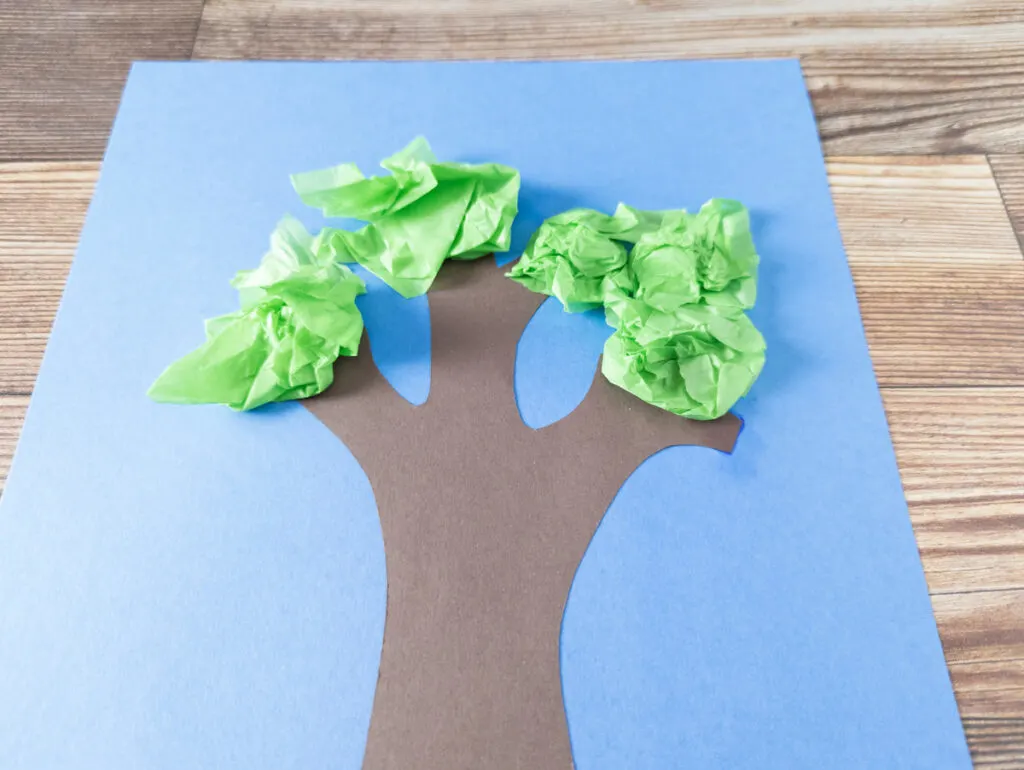 Close up angled view of crumpled green tissue paper glued around branches to make a tree craft.