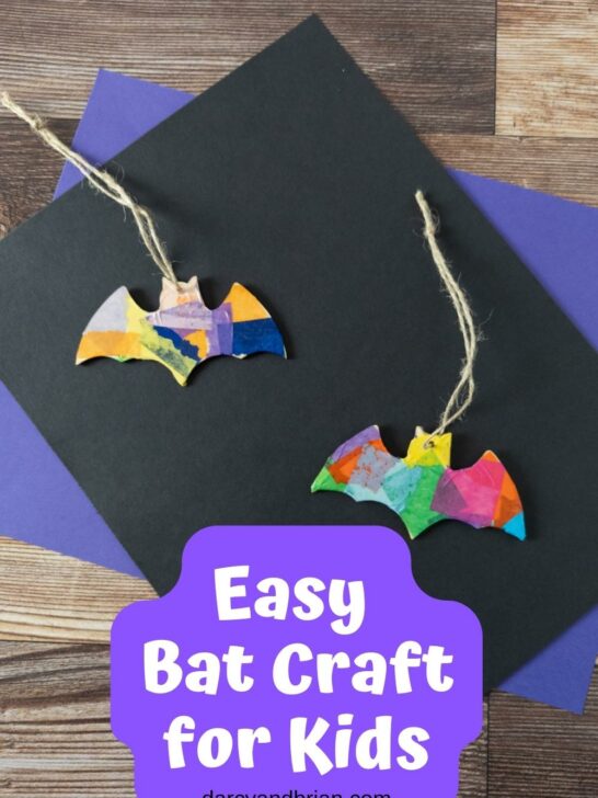 Two wooden bat shapes covered in colorful tissue paper with twine to hang them. They are laying on top of black and purple construction paper.