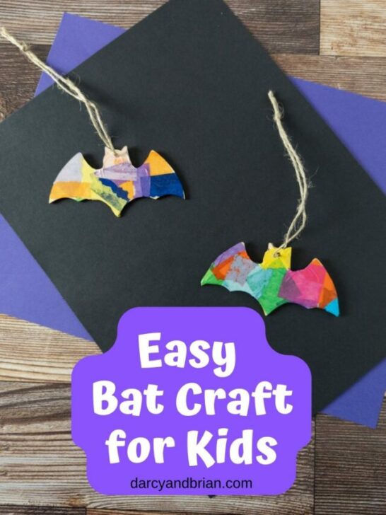 Two wooden bat shapes covered in colorful tissue paper with twine to hang them. They are laying on top of black and purple construction paper.