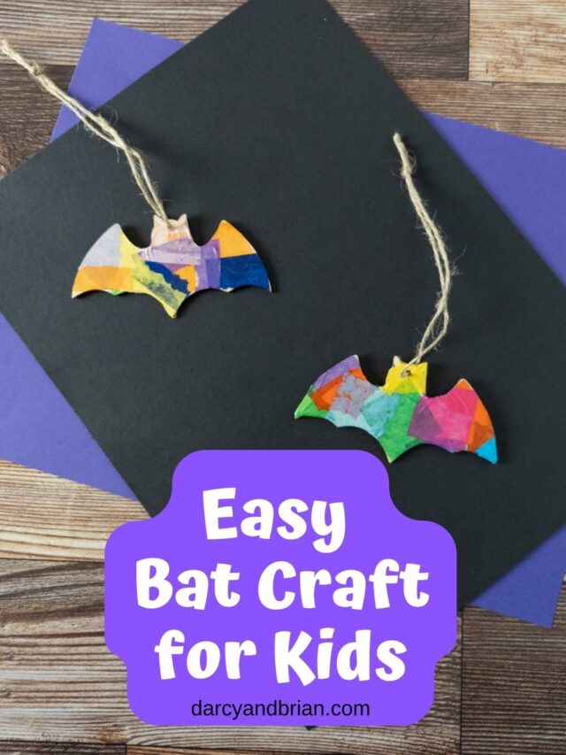 Bat Craft Story