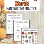 Orange and black text on white near the top says Thanksgiving Words Handwriting Practice. Preview of three worksheets on a background with pumpkins and gourds.