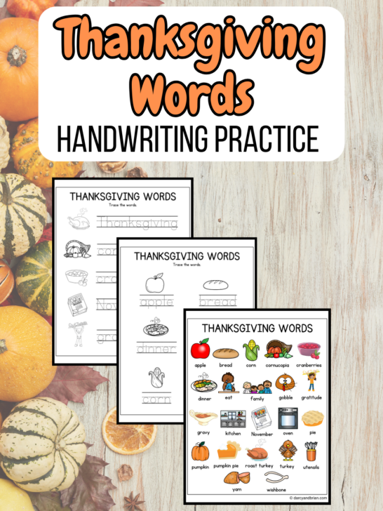 Orange and black text on white near the top says Thanksgiving Words Handwriting Practice. Preview of three worksheets on a background with pumpkins and gourds.