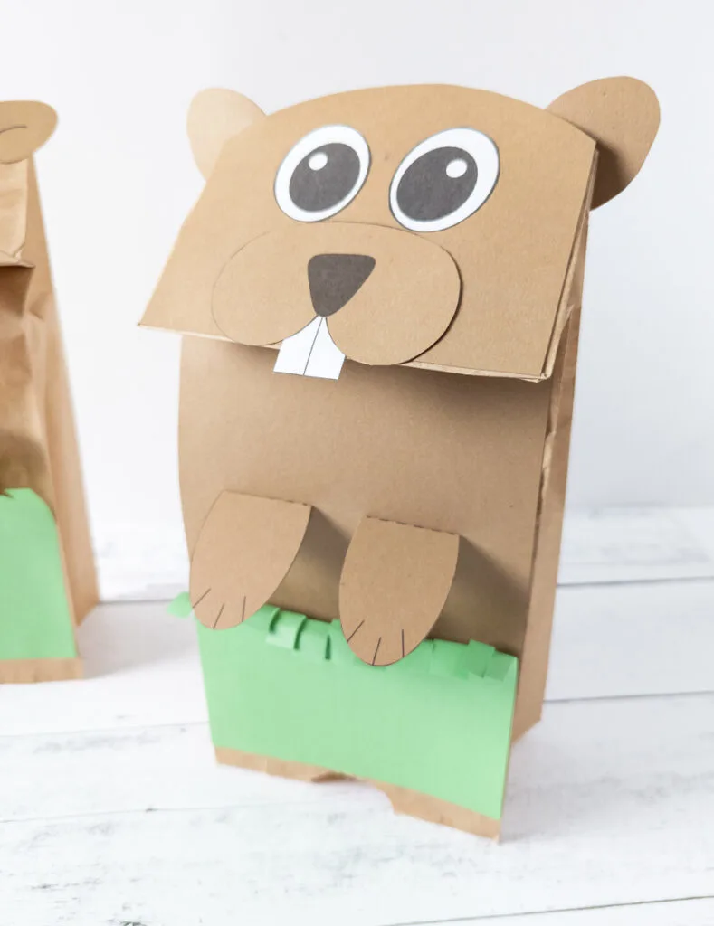 Close view of standing paper bag groundhog puppet.