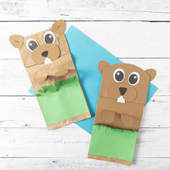 Two paper bag groundhog puppets laying on a bright blue paper.
