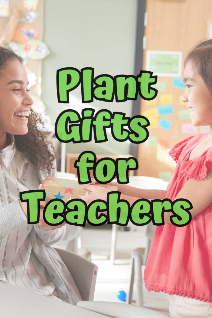 Green text says Plant Gifts for Teachers over a background photo of a child handing a teacher a present.
