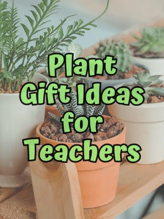 Green text in the center says Plant Gift Ideas for Teachers over a background with several potted indoor plants.