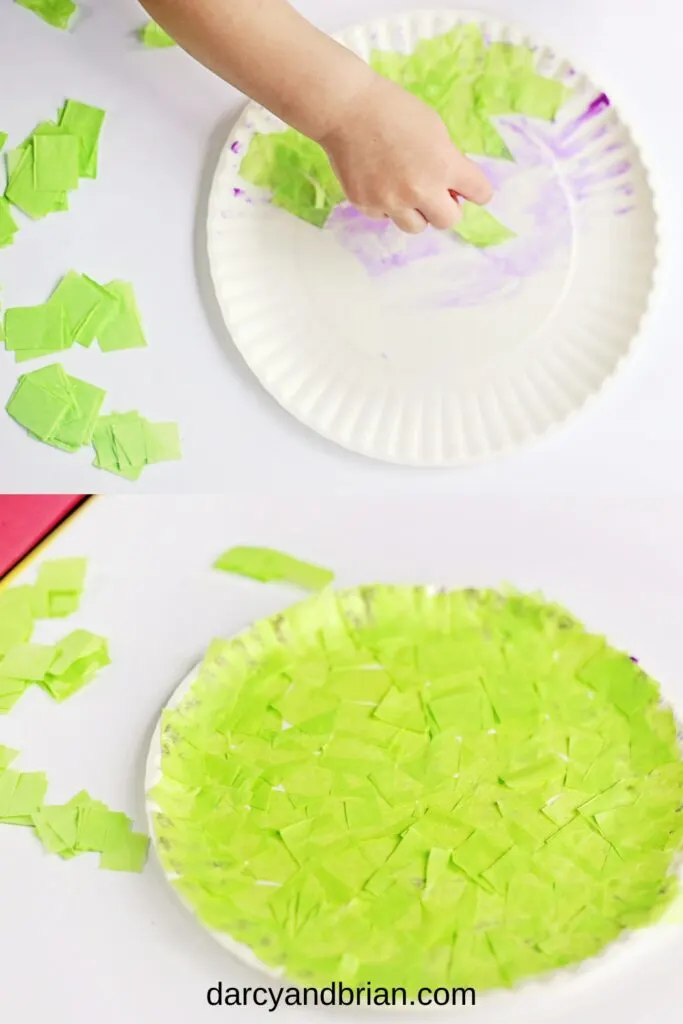 Two image collage with top one showing a white child's hand gluing green tissue paper to a paper plate. Bottom picture shows the plate covered in green.