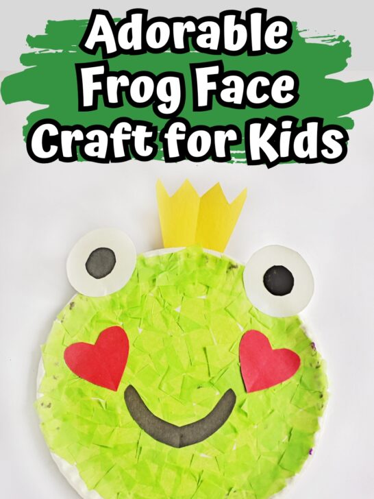 Finished craft to make a cute face of a frog using a paper plate and tissue paper.