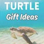 White text says Turtle Gift Ideas over a picture of a sea turtle swimming under the ocean close to the sandy floor.