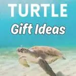 White text says Turtle Gift Ideas over a picture of a sea turtle swimming under the ocean close to the sandy floor.